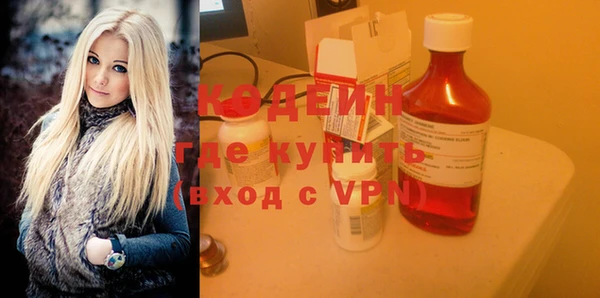 шишки Осташков