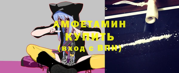 шишки Осташков