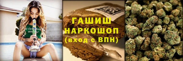 шишки Осташков