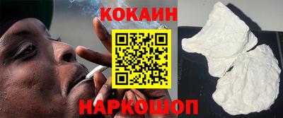 шишки Дубна