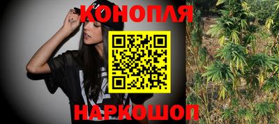 шишки Дубна