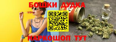 шишки Дубна