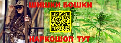 шишки Дубна
