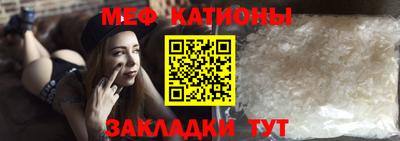шишки Дубна