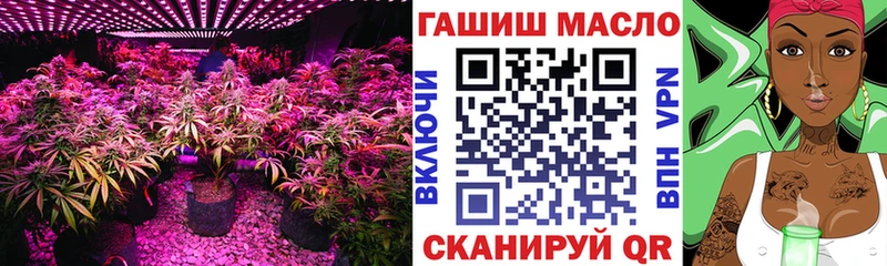 omg ТОР  где найти наркотики  Калач-на-Дону  Дистиллят ТГК Wax 